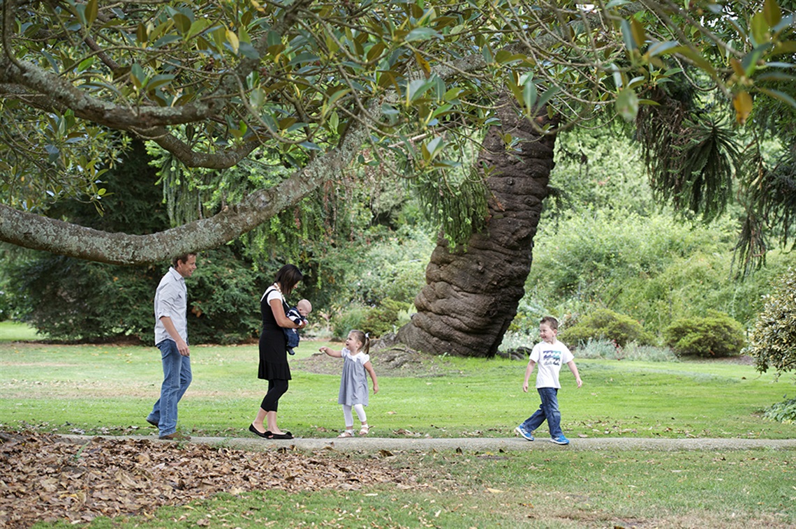 Walking paths Botanic Gardens