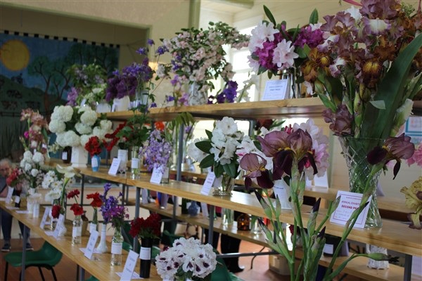 Warrion-flower-Show-2018.jpg