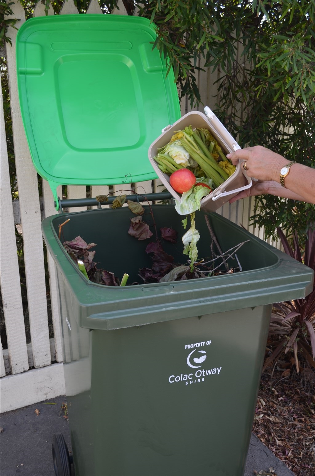 Organics-Bin.jpg