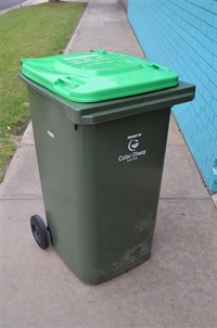 Organics-Green-Bin.jpg