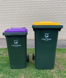 Yellow-and-Purple-Bins.jpg