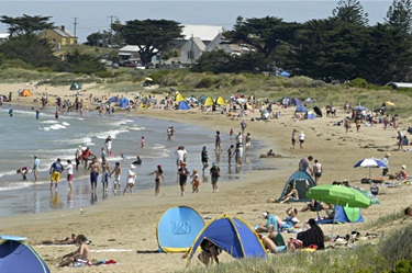 apollo bay tourist information centre