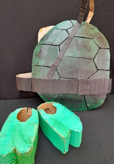37.-Ninja-Turtle-Shell-Jax-Beasley-12-18-Category.jpg