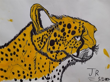 41.-Cheetah-Jerry-Robb-12-18-Category.jpg
