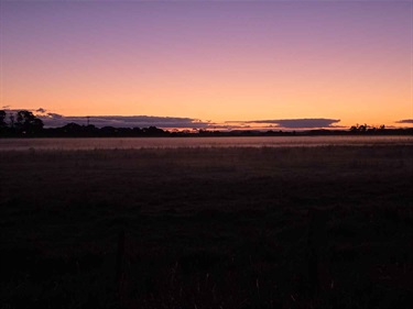 13.-When-the-Horizon-Caught-Fire-Charlie-Angus-12-18-Category.jpeg