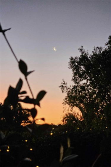 14.-Through-The-Nature-Nirvana-Perkins-12-18-Category.png