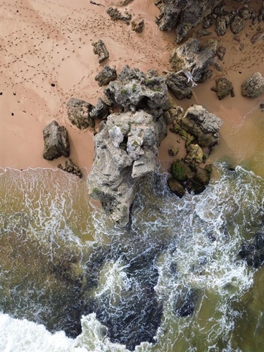23.-Oceans-Eye-Max-Kelly-12-18-Category.jpg