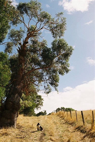 44.-Laneway-Muse-Tim-Mooney-19-25-Category.jpg