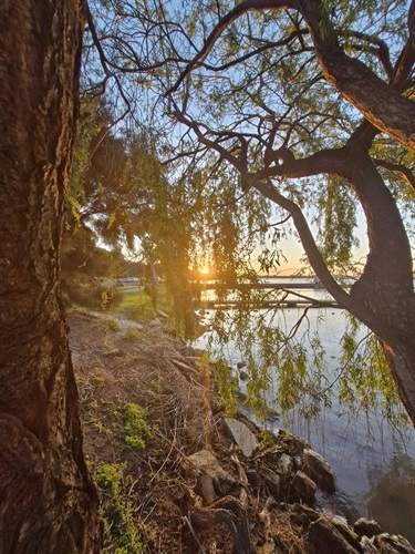 35. Lakeside Dreaming, Ruby Holland 13-15 Category