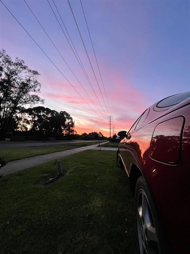 1. Mums Celica in the Sunset, Max Leersen 13-15 Category