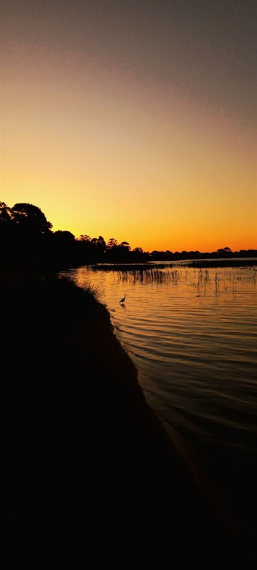 16. Scattered Lake Sunset, Benjamin Medley 13-15 Category