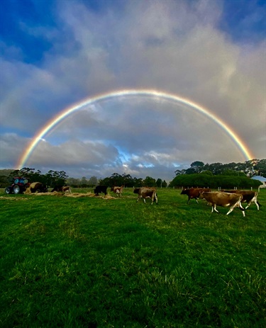 51. Feeding Out under a Rainbow, Eloise Murnane 16-20 Category