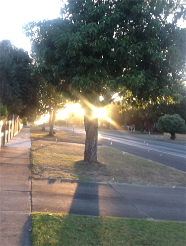 60. Sunset along Queen Street, Taylah Williams 16-20 Category