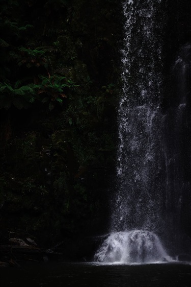 75. The Power of Nature, Emily McCosh 16-20 Category