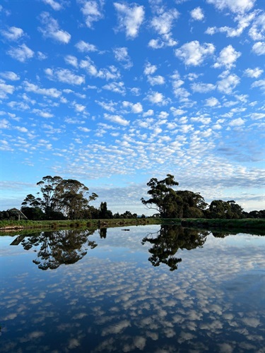 67. Reflection of the Sky, Hunter Togni 16-20 Category