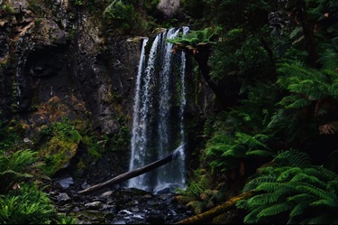 85. Hopetoun Falls, Angela Johnson 21-25 Category