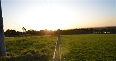 80. Landscape Scene Looking Far into the Distance, Robin Alford 21-25 Category