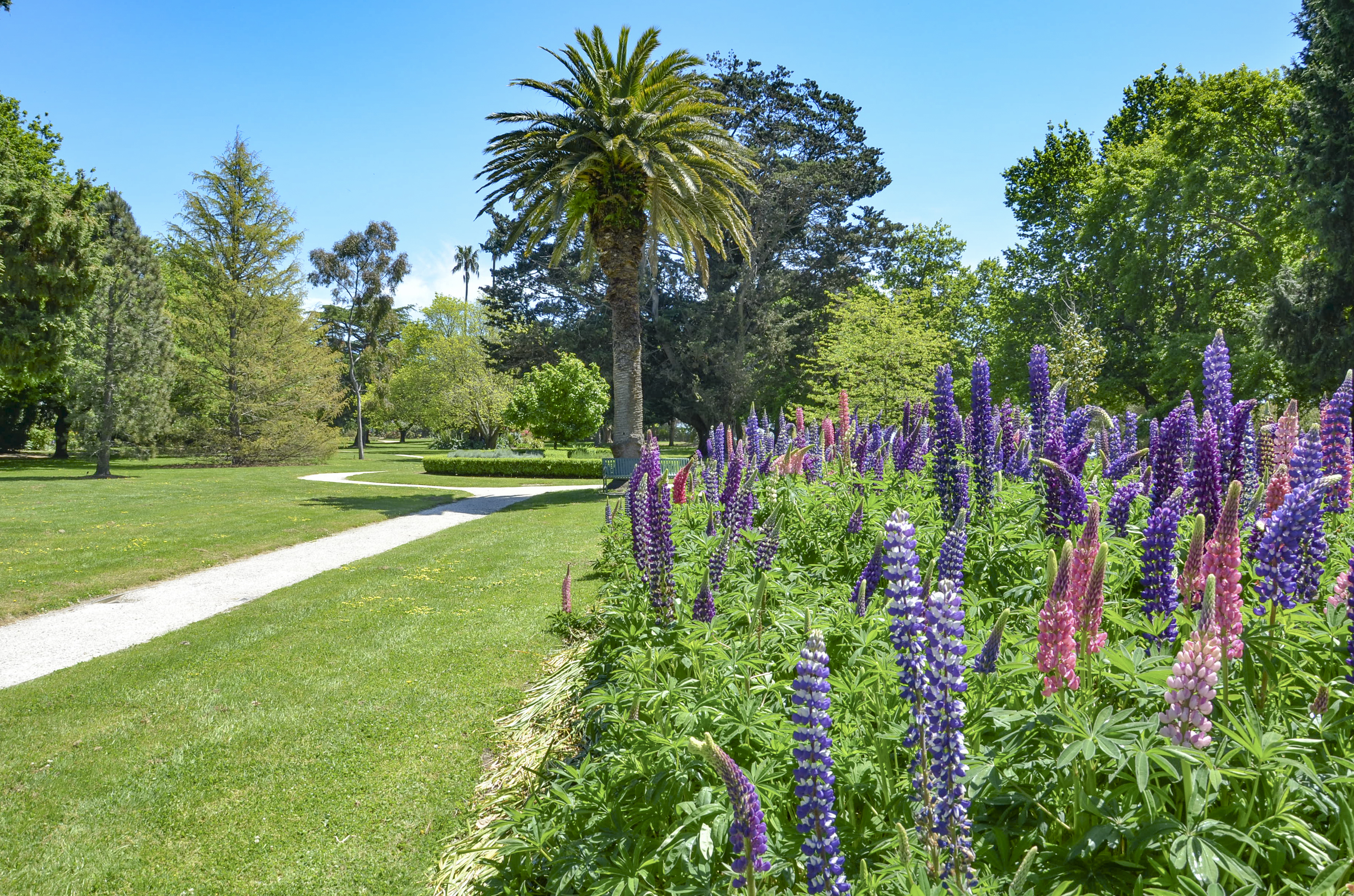 D20-255691-02112020-Colac-Botanic-Gardens-9-COS-use-High-Res.jpg