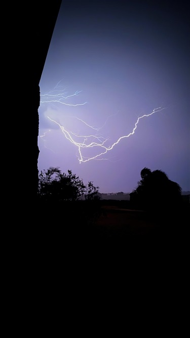 14.-Skys-Veins-Logan-Stout-12-18-Category.jpg