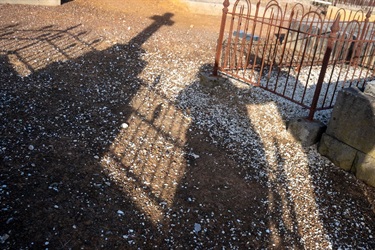 28.-Cemetery-Ghosts-Isla-Lucas-12-18-Category.jpg