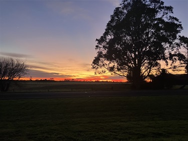 31.-Sunrise-by-the-field-Noah-Martin-12-18-Category.jpg
