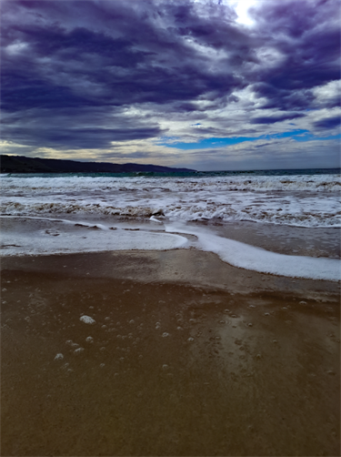 37.-Beach-Zoey-Williamson-12-18-Category.png