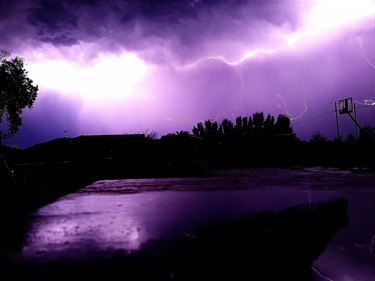 38.-Electric-Veins-Aedan-Gibbs-12-18-Category.jpg