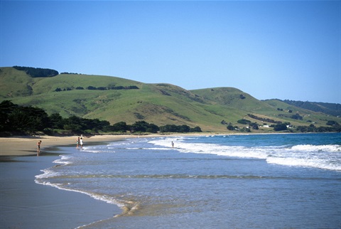 Apollo Bay Beach.jpg