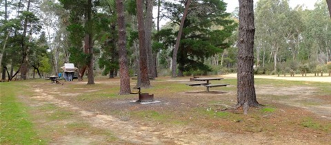 Forrest Campsite.jpg