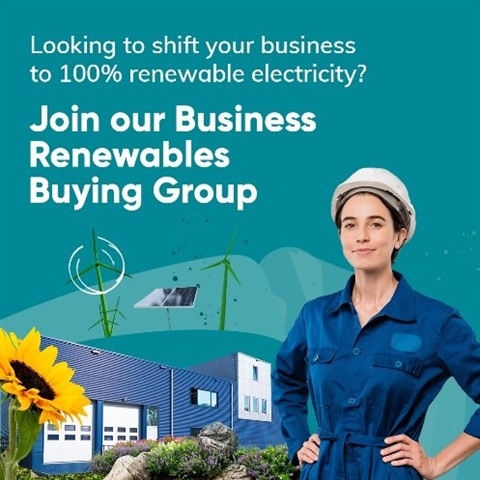 Business Renewables Buing Group pic.jpg