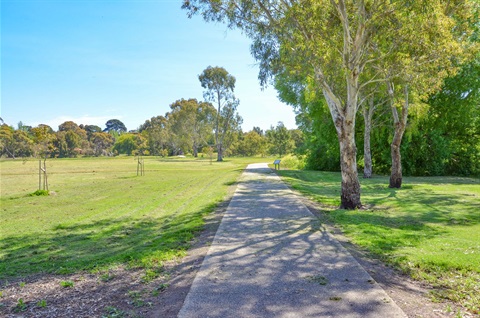 Footpath bird sanctuary.jpg