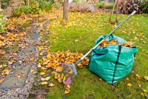 Garden Clean Up Pic.jpg