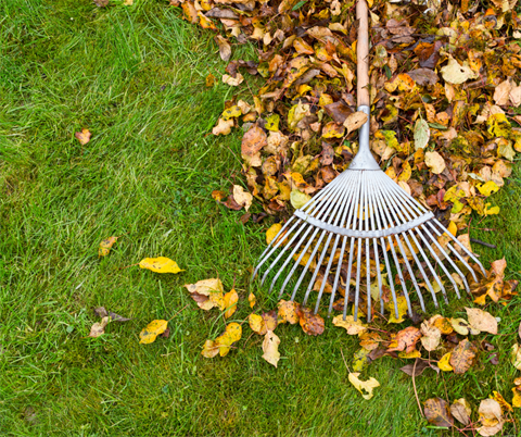 leaves rake garden clean up.png