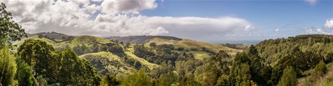 AdobeStock_276871726 - Apollo Bay Landscape.jpeg