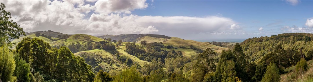 AdobeStock_276871726 - Apollo Bay Landscape.jpeg