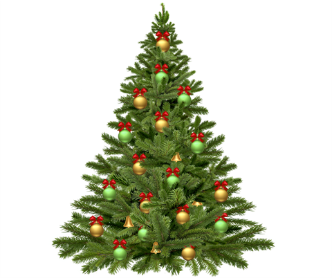 Christmas tree graphic.png