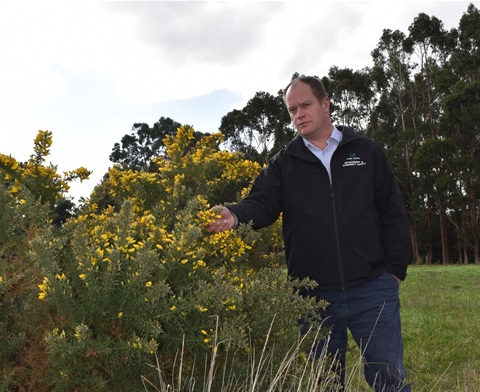 190705 Stewart Anderson pictured with gorse.jpg