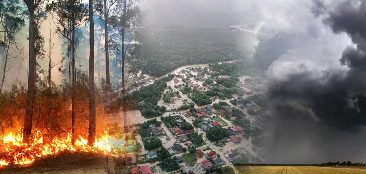 Emergency Collage - Flat Image.jpg