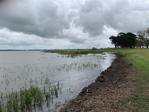 Lake Colac at Meredith Park.jpg