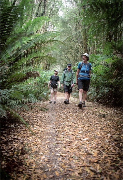 Three Walkers along the Old Beech Rail Trail