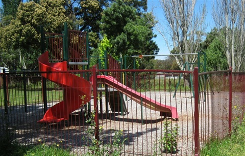 Selwyn Brown Park Slides