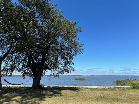 Meredith Park Hammock.jpg