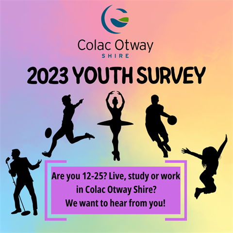 Youth Survey Website Image.png