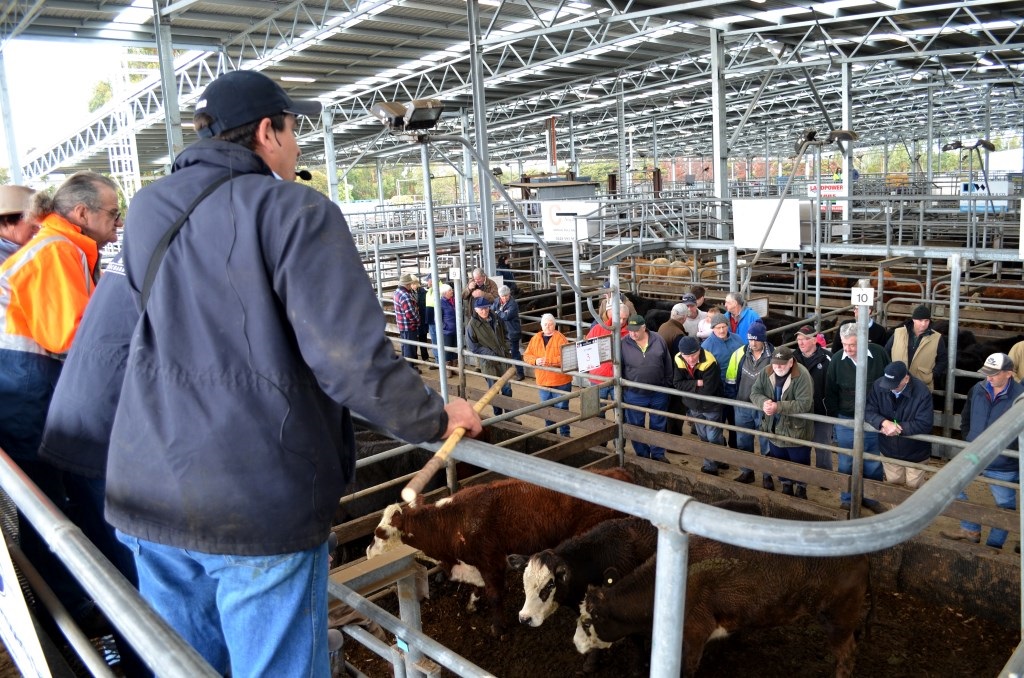 Saleyards1