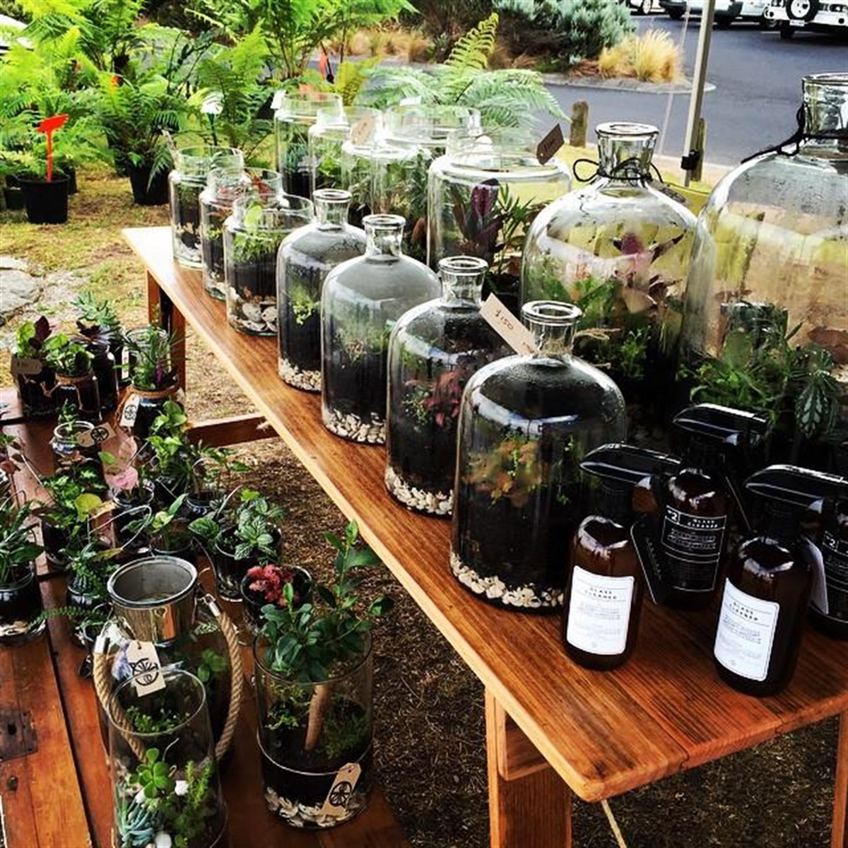 Opening a Business Colac Otway Shire