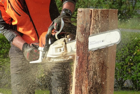 Man Cutting Tress Using Chainsaw.jpg