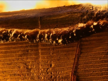 26.-Burn-Aden-Hus-12-18-Category.jpg
