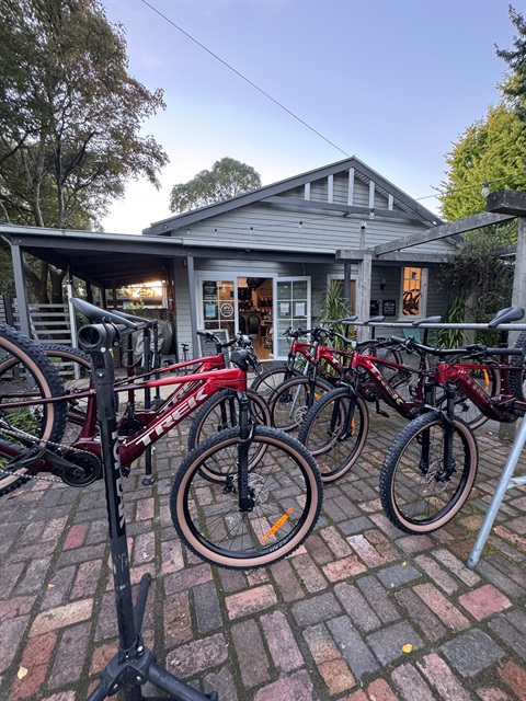 Bikes outside bike shop