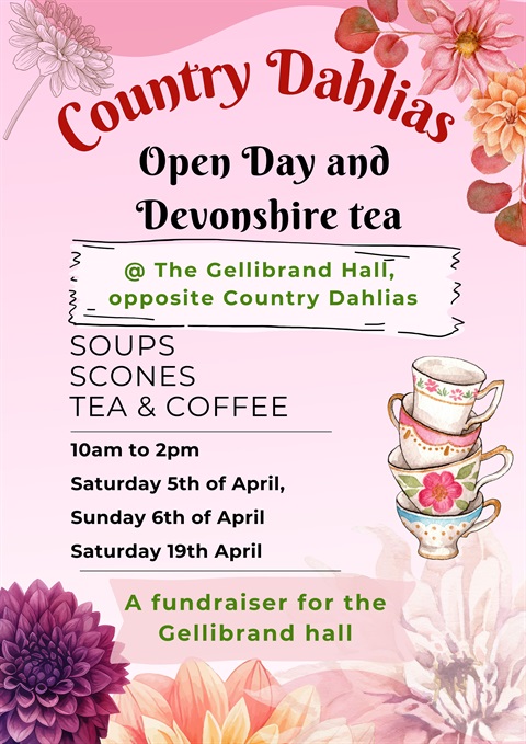Country-Dahlia-Devonshire-tea