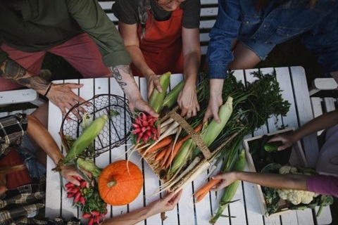 Food_4_Future_image_1-1